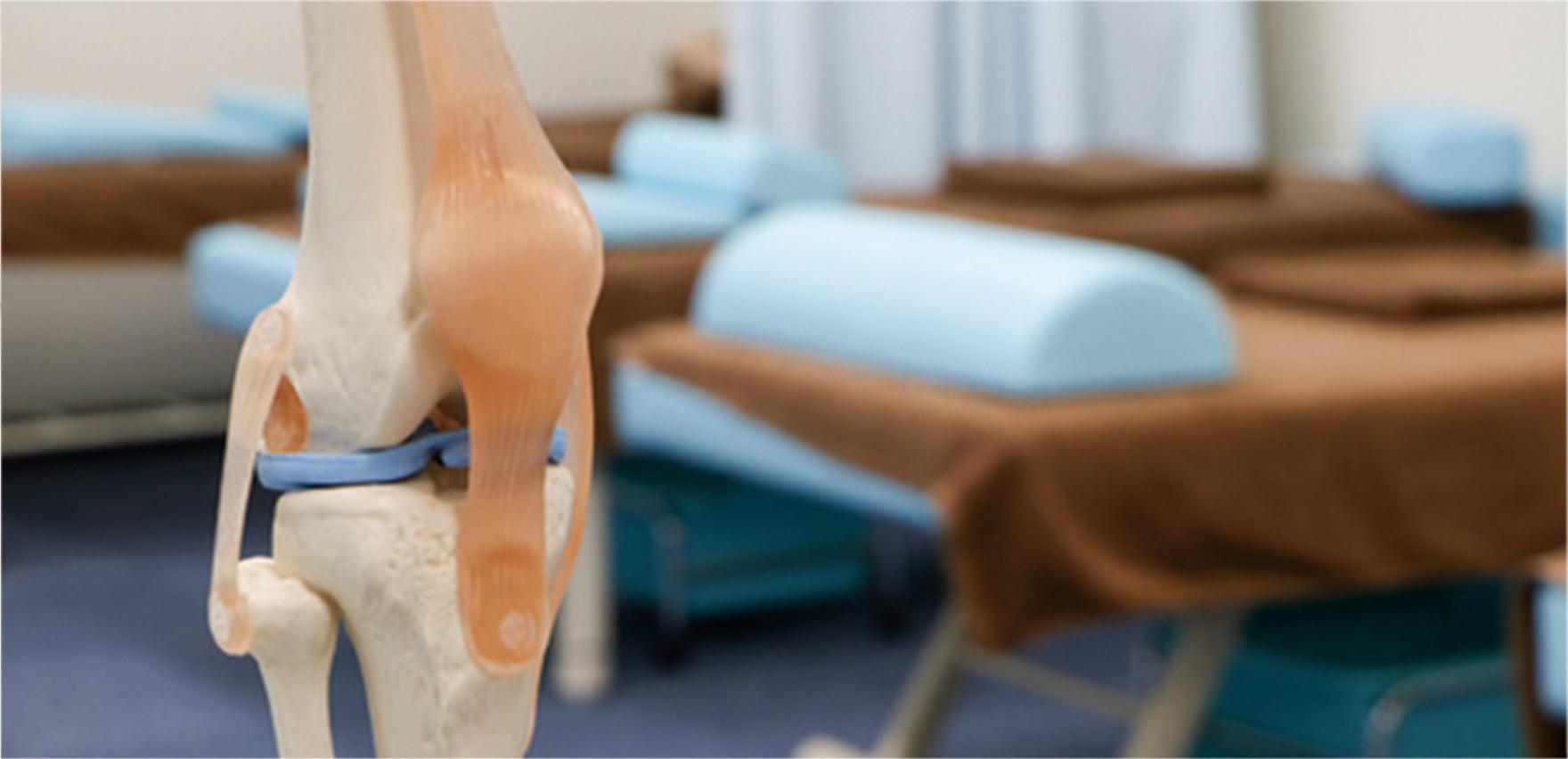 整体クリニックでのResKa活用事例