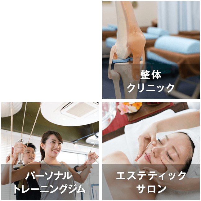 整体クリニック パーソナルトレーニングジム エステティックサロン